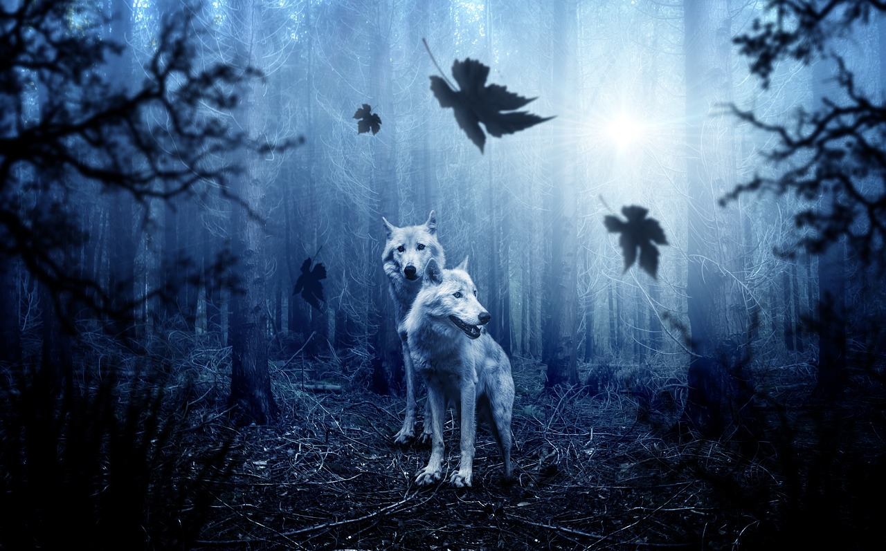 Lobos en el bosque