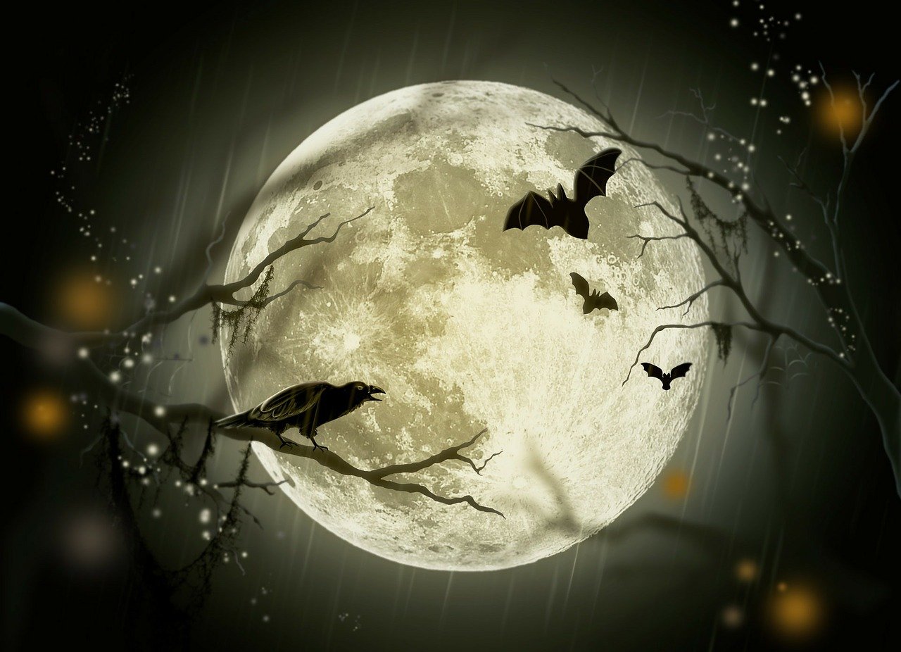 Imágenes Halloween, Luna llena con murciélagos