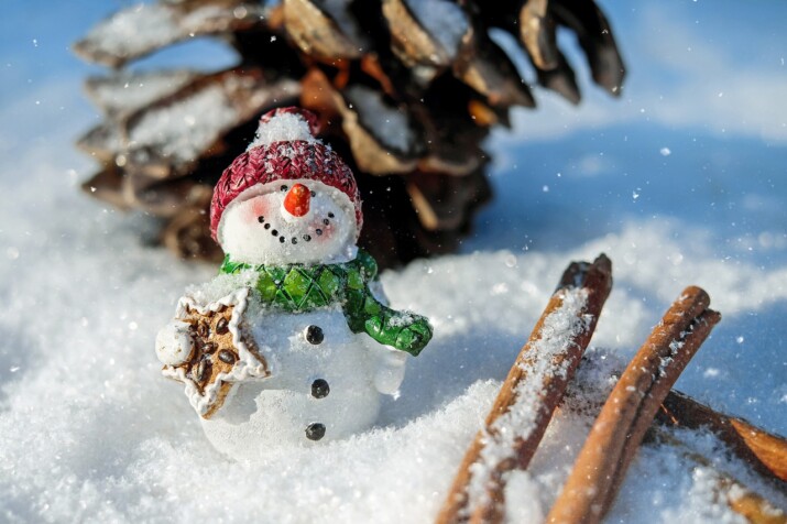 Muñequito de nieve, imagen de Navidad