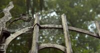 Telas de Araña en una valla vieja de metal